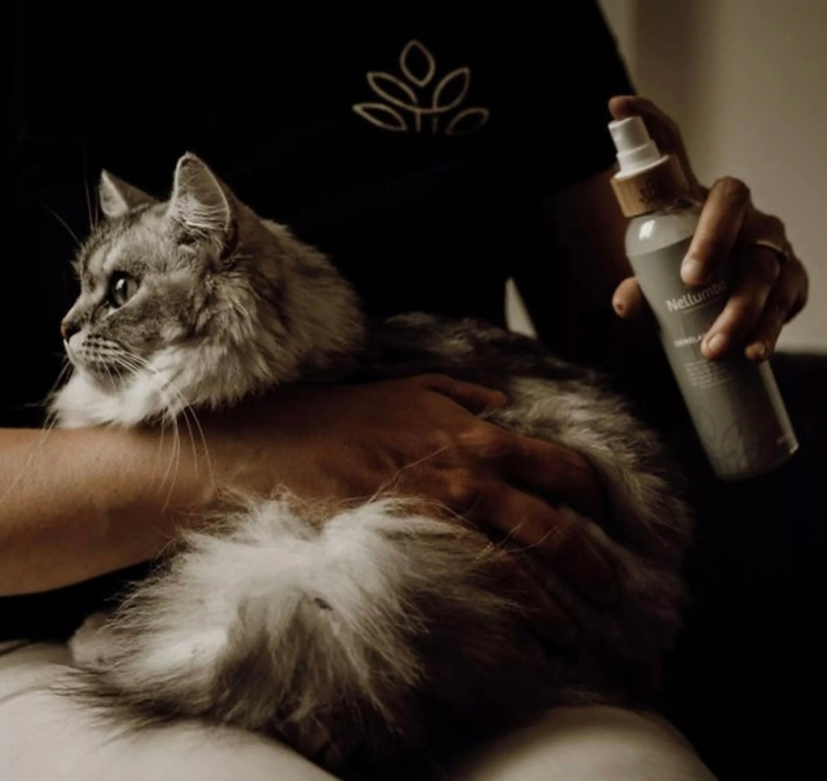Démêlant lustrant pour chiens et chats – Bio & Végan 150 ml