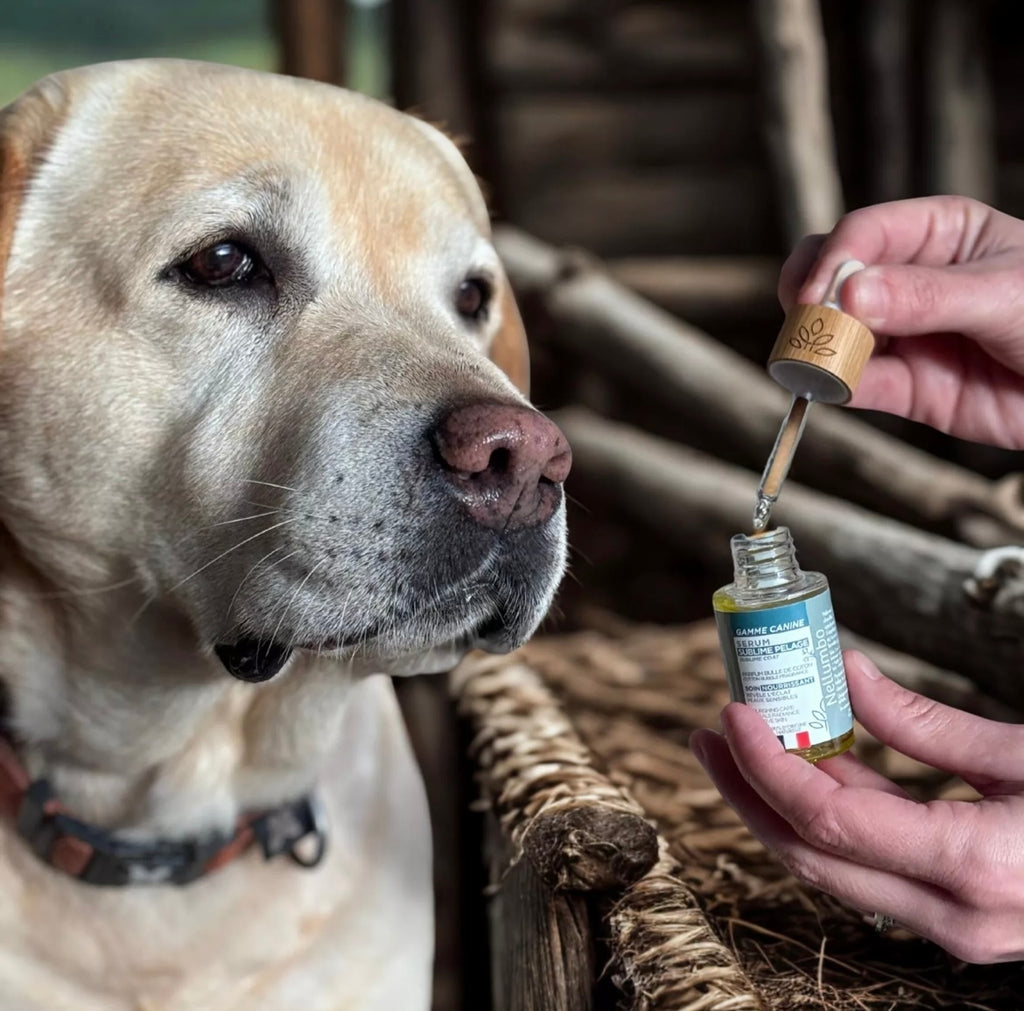 Sérum Sublime Pelage pour chiens – Nourrissant, Douceur et Brillance 50 ml
