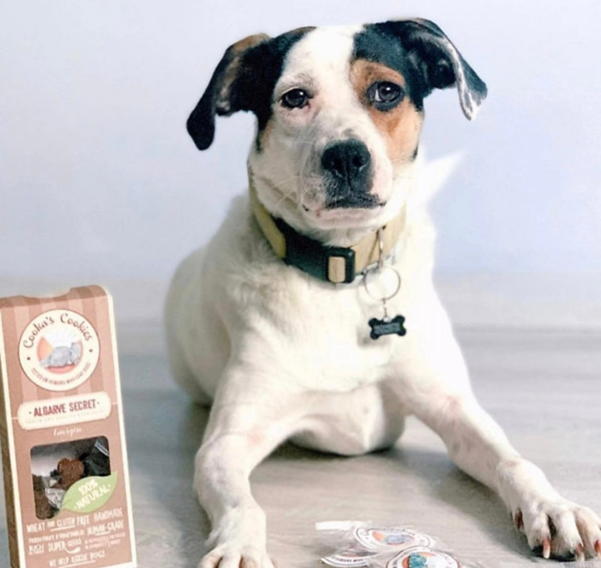 Secret de l’Algavre – Friandise naturelle pour chiens à la caroube & coco 100 g