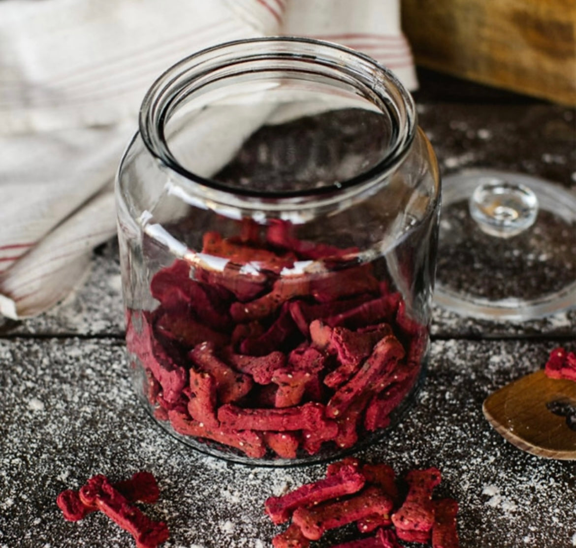 Betterave de Lisbonne – Friandise naturelle pour chiens à la betterave & quinoa 100 g