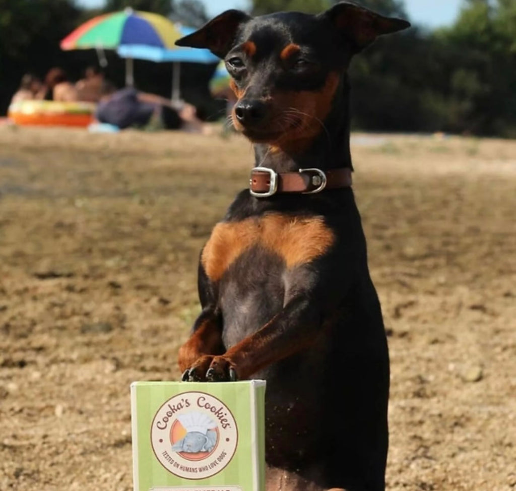 Esprit de Porto – Friandise naturelle pour chiens pomme & spiruline 100 g