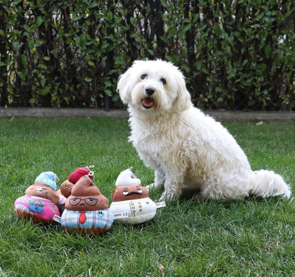 Jouet interactif pour chien ultra résistant – Peluche amusante et durable avec effet sonore