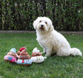 Jouet interactif pour chien ultra résistant – Peluche amusante et durable avec effet sonore