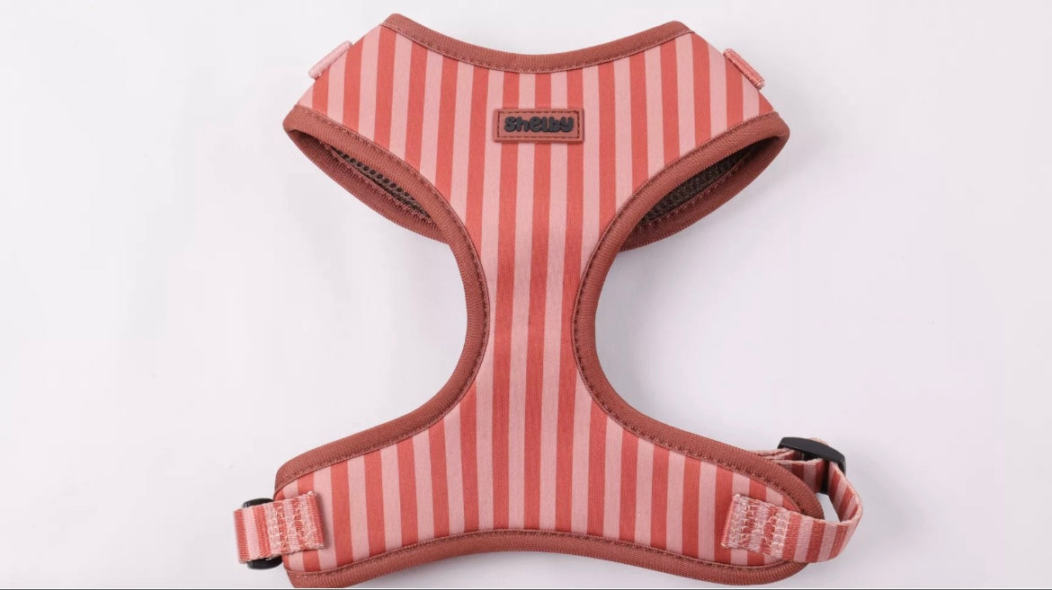 Harnais pour chien en néoprène – Fait main, confortable et résistant – Couleur Chocolat Rêve
