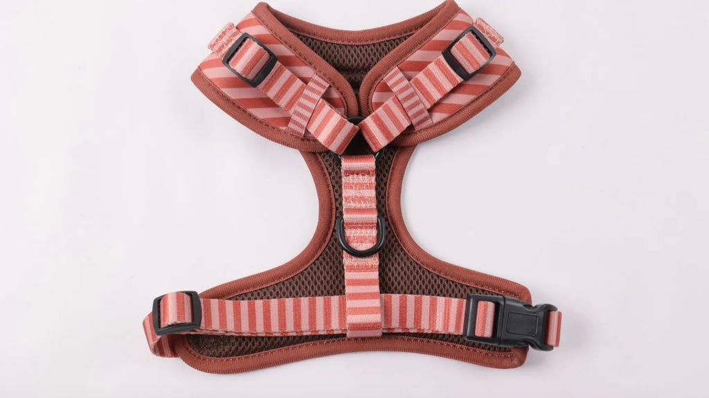 Harnais pour chien en néoprène – Fait main, confortable et résistant – Couleur Chocolat Rêve