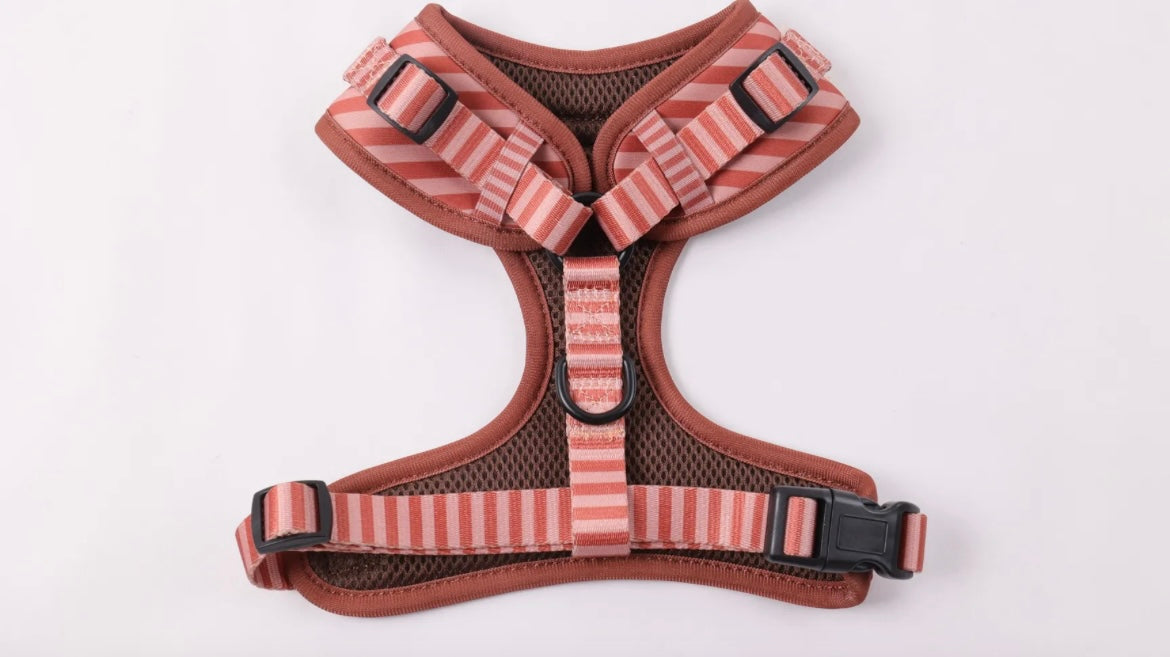 Harnais pour chien en néoprène – Fait main, confortable et résistant – Couleur Chocolat Rêve
