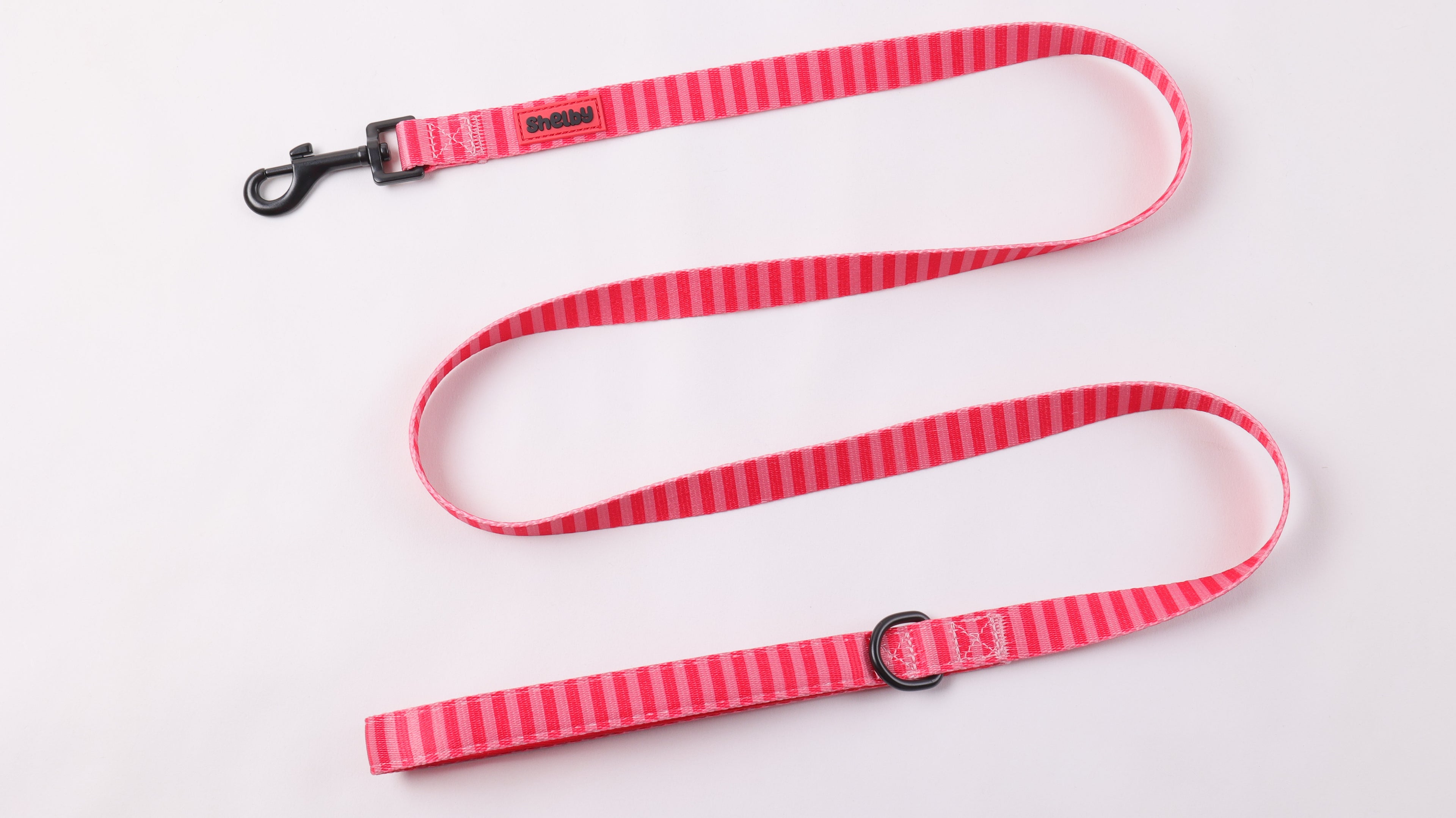Laisse pour chien en néoprène – Résistante, légère et confortable – Fait main - Baie Tropicale
