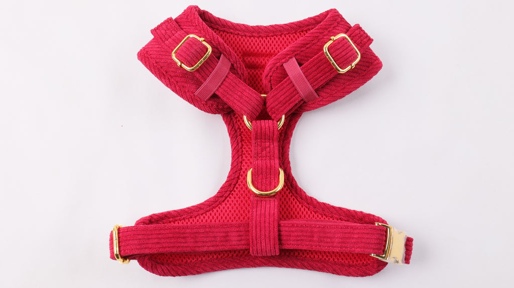 Harnais pour chien en velours côtelé rouge fait main – Élégant avec finitions métalliques