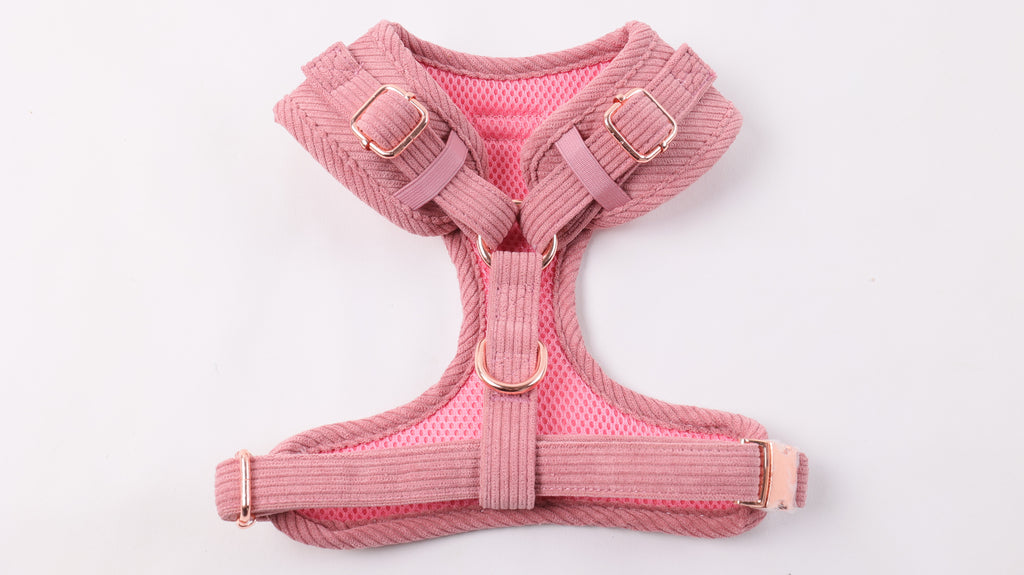 Harnais pour chien en velours côtelé rose fait main – Élégant avec finitions métalliques
