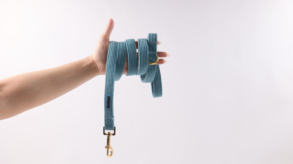Laisse pour chien en velours bleu côtelé PANA FORTE – Fait main, élégante et résistante avec mousqueton métallique