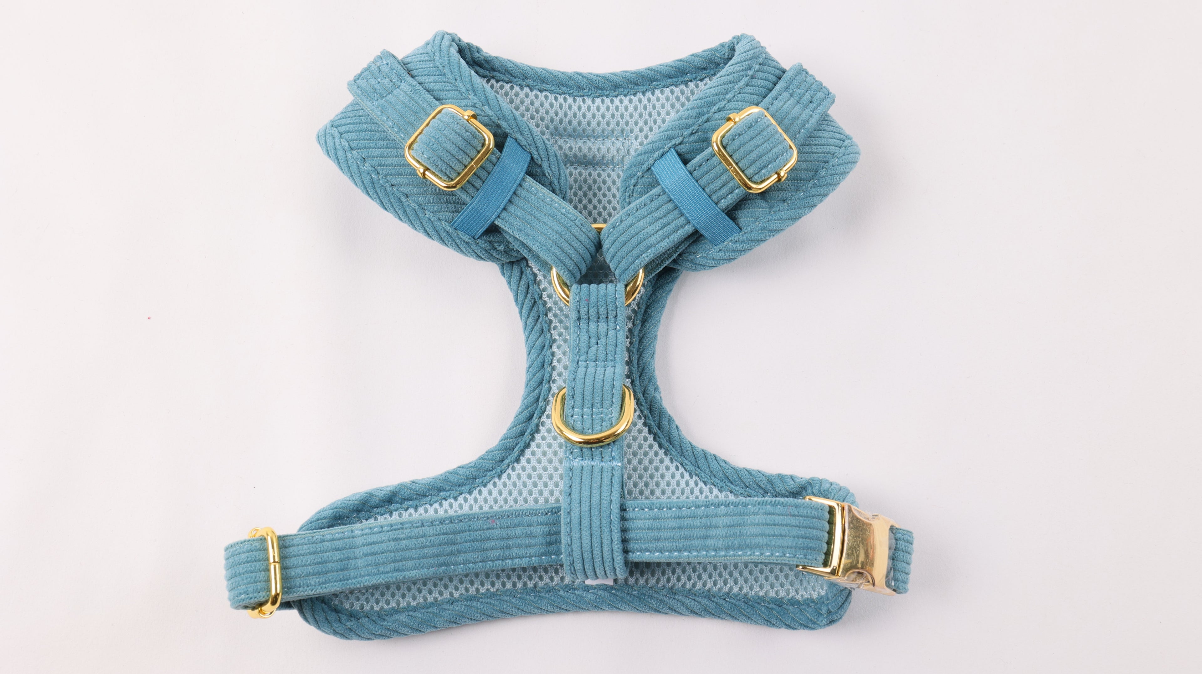 Harnais pour chien en velours côtelé bleu fait main – Élégant avec finitions métalliques
