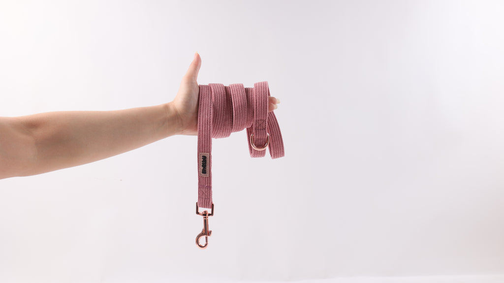 Laisse pour chien en velours rose côtelé PANA FORTE – Fait main, élégante et résistante avec mousqueton métallique