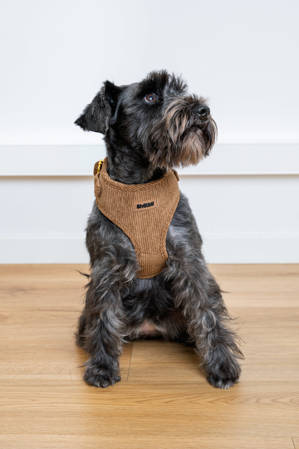Harnais pour chien en velours côtelé châtaigne fait main – Élégant avec finitions métalliques