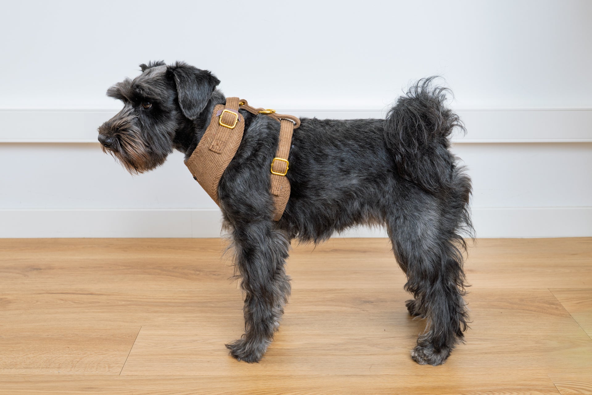 Harnais pour chien en velours côtelé châtaigne fait main – Élégant avec finitions métalliques