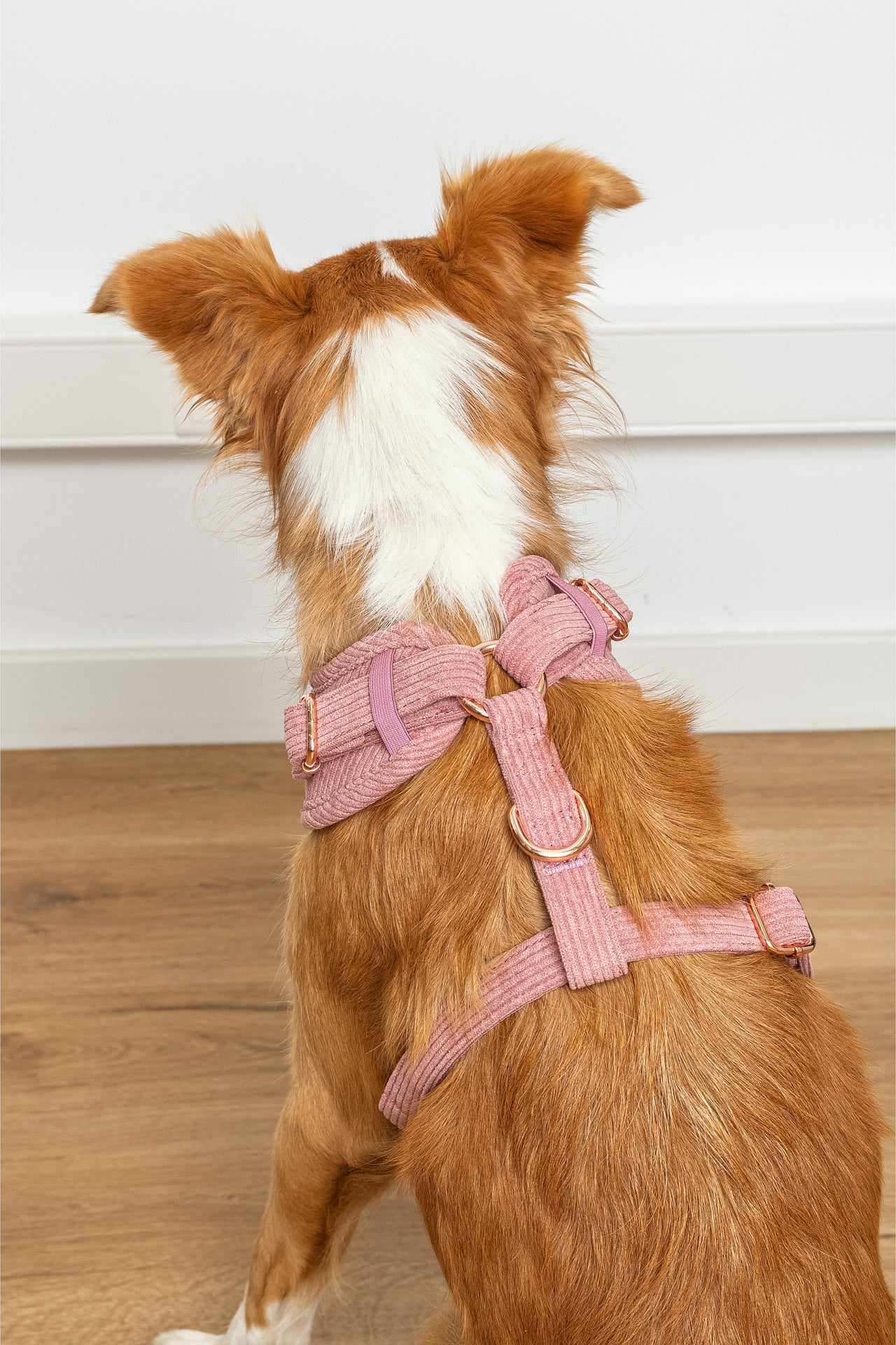Harnais pour chien en velours côtelé rose fait main – Élégant avec finitions métalliques